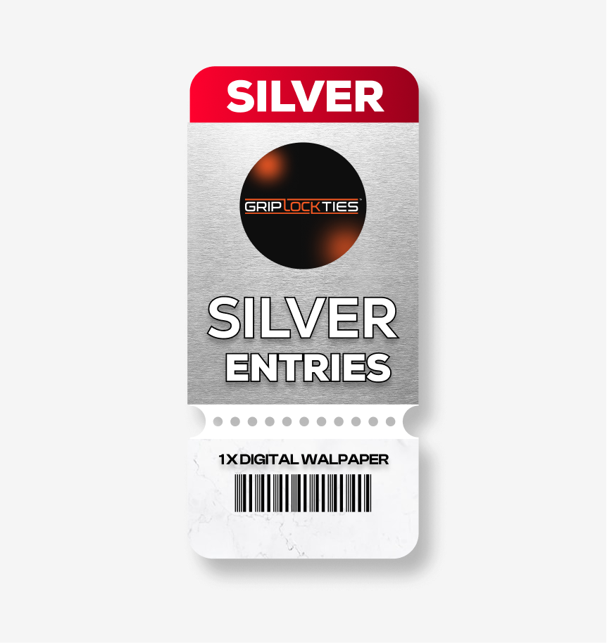 Silver Quick Entries